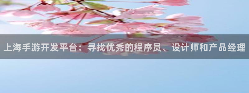 三牛娱乐挂机：上海手游开发平台：寻找优秀的程序员、设计师和产