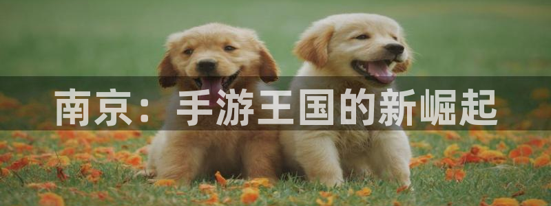 三牛公司：南京：手游王国的新崛起