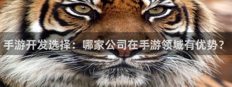 三牛娱乐是网络诈骗平台吗安全吗：手游开发选择：哪家公司在手游