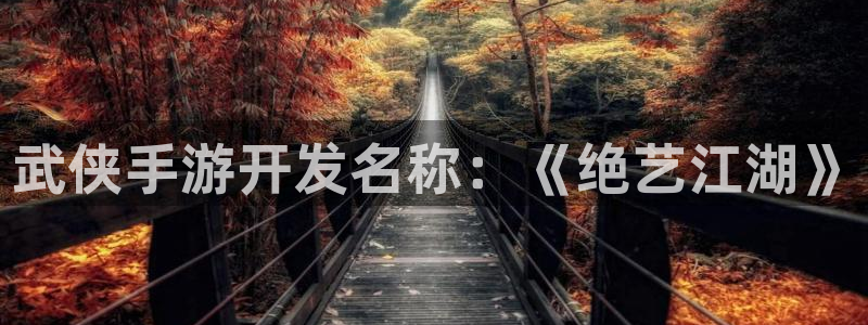 三牛娱乐登录：武侠手游开发名称：《绝艺江湖》