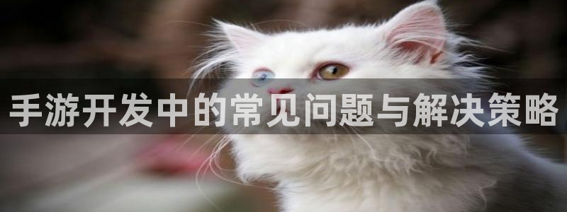 三牛娱乐测速系统：手游开发中的常见问题与解决策略
