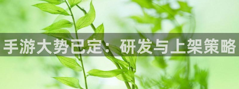 三牛娱乐管网：手游大势已定：研发与上架策略