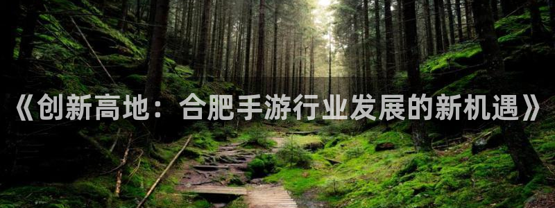 江苏三牛：《创新高地：合肥手游行业发展的新机遇》
