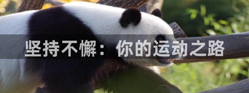 ug环球官网：坚持不懈：你的运动之路