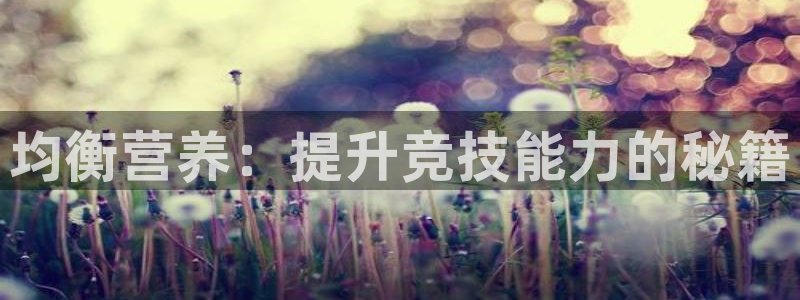 ug环球官网登录入口：均衡营养：提升竞技能力的秘籍