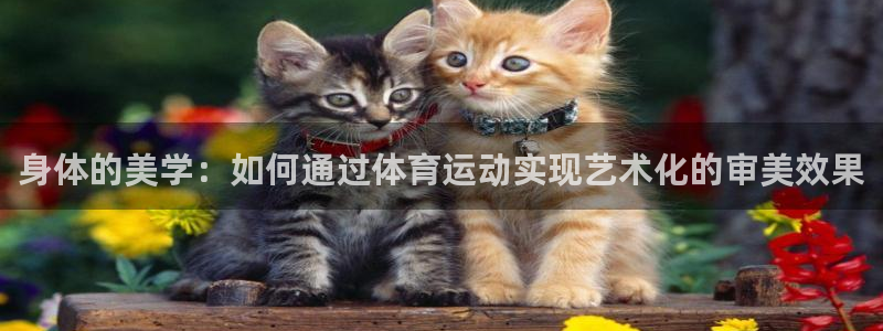 ug环球官网：身体的美学：如何通过体育运动实现艺术化的审美效果
