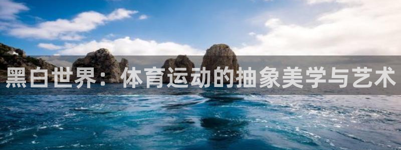菲律宾ug环球官网：黑白世界：体育运动的抽象美学与艺术