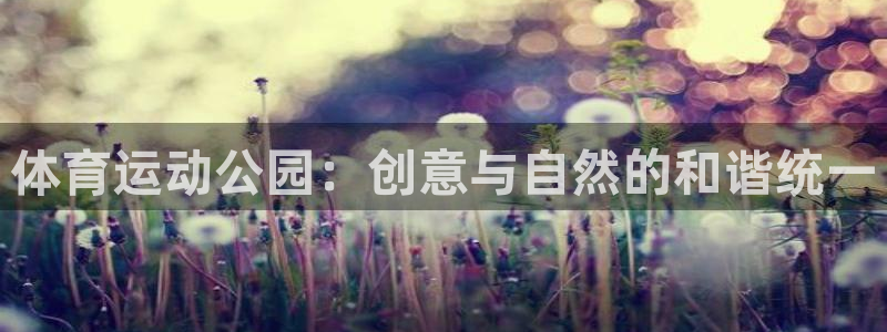 ug环球官网注册：体育运动公园：创意与自然的和谐统一